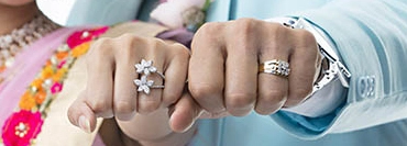 Pre Matrimonial Investigation